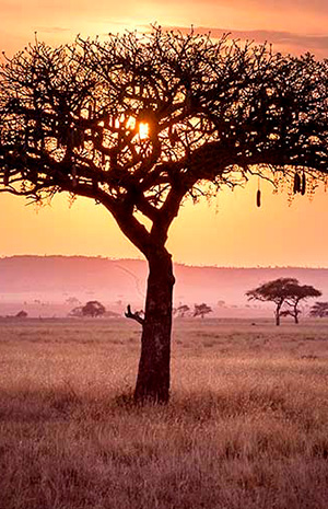Tanzania