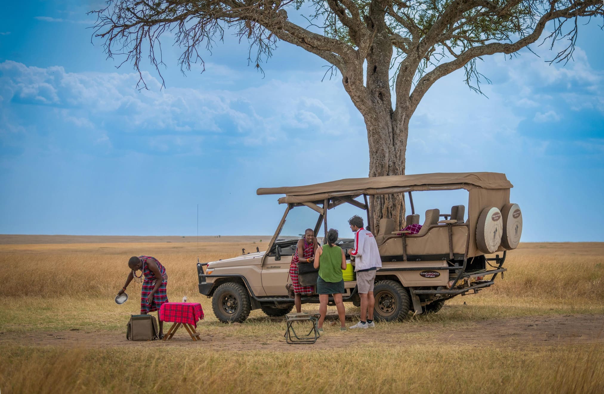 Viaje Safari