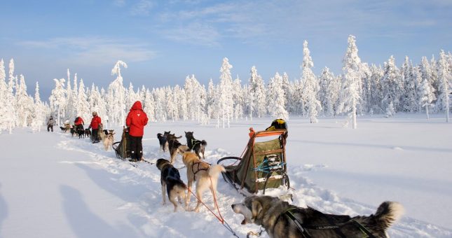 Aventura en Laponia Finlandesa